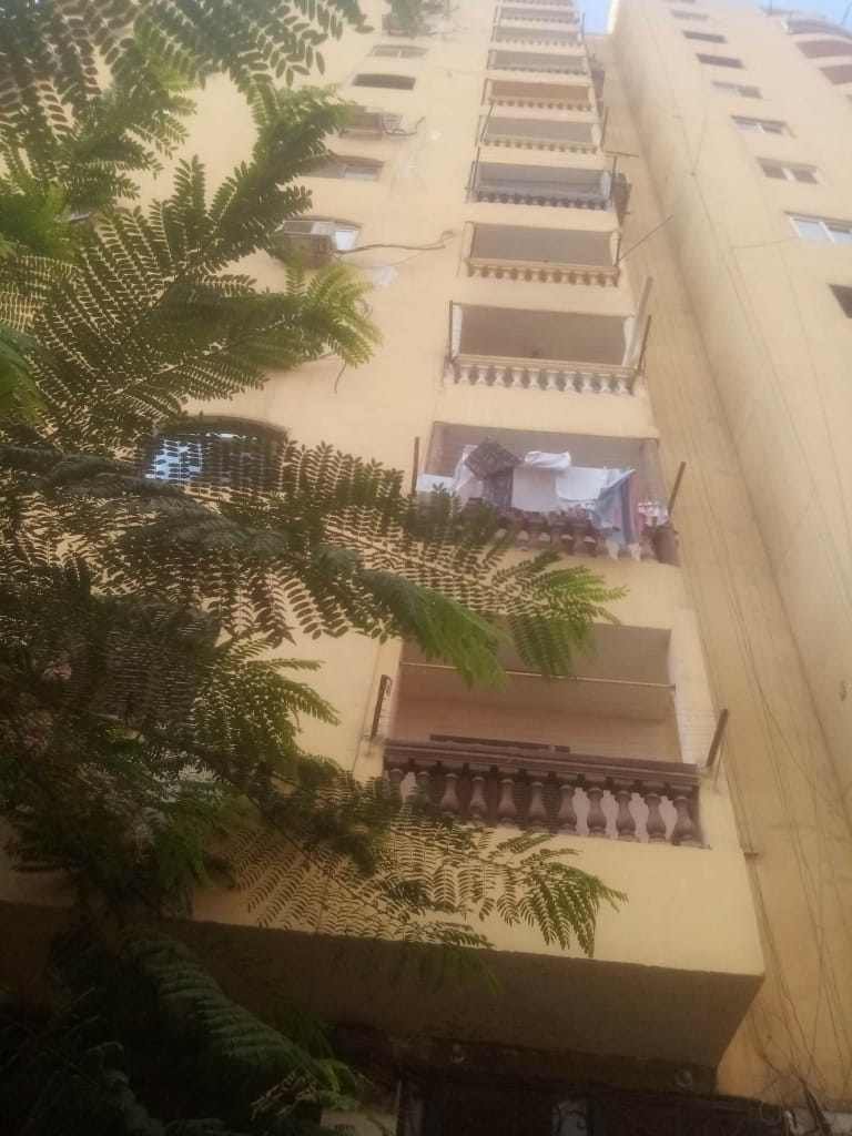 Whatsapp Image 20251224 at 155400 2 | شقة مفروشة للايجار مفروشة للايجار موقع مفروشة بيضمنلك فلوسك علشان ميتنصبش عليك من السماسرة لاننا شركة مسجلة تاجير العقارات الشقق الفيلا المفروشة موقع مفروشة بيضمنلك فلوسك علشان ميتنصبش عليك من السماسرة لاننا شركة مسجلة تاجير العقارات الشقق الفيلا المفروشة