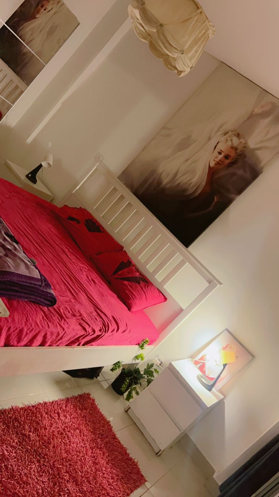 Whatsapp Image 20260207 at 110105 | شقة مفروشة للايجار مفروشة للايجار موقع مفروشة بيضمنلك فلوسك علشان ميتنصبش عليك من السماسرة لاننا شركة مسجلة تاجير العقارات الشقق الفيلا المفروشة موقع مفروشة بيضمنلك فلوسك علشان ميتنصبش عليك من السماسرة لاننا شركة مسجلة تاجير العقارات الشقق الفيلا المفروشة