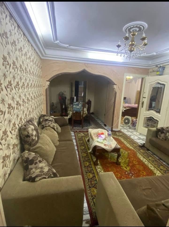 شقة مفروشة للايجار في كامب شيراز